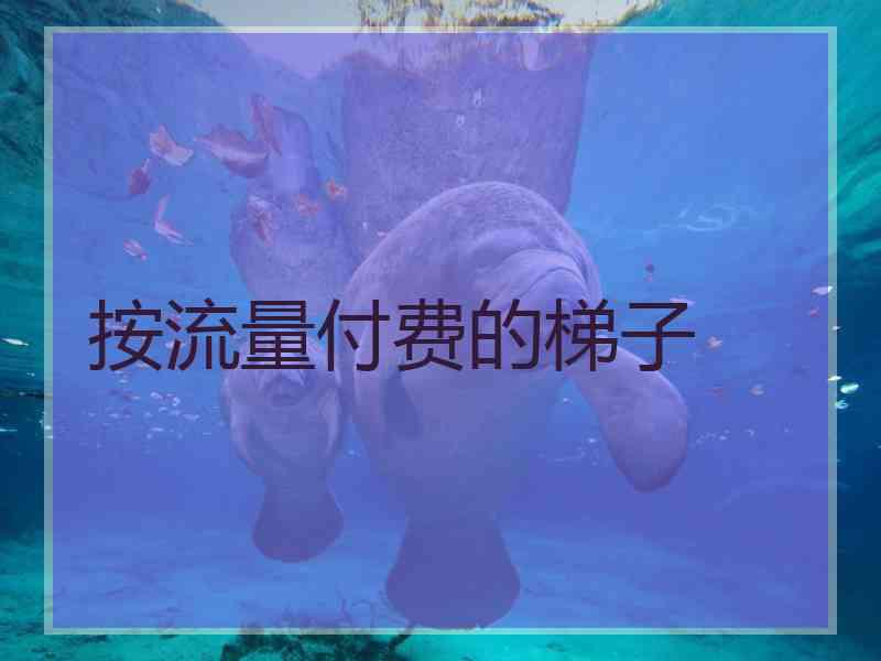 按流量付费的梯子