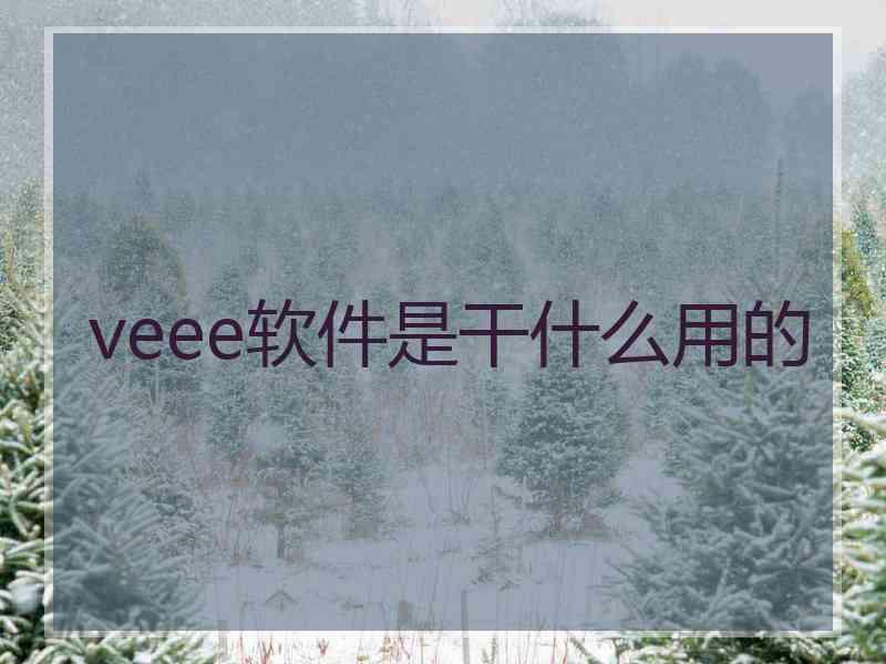 veee软件是干什么用的