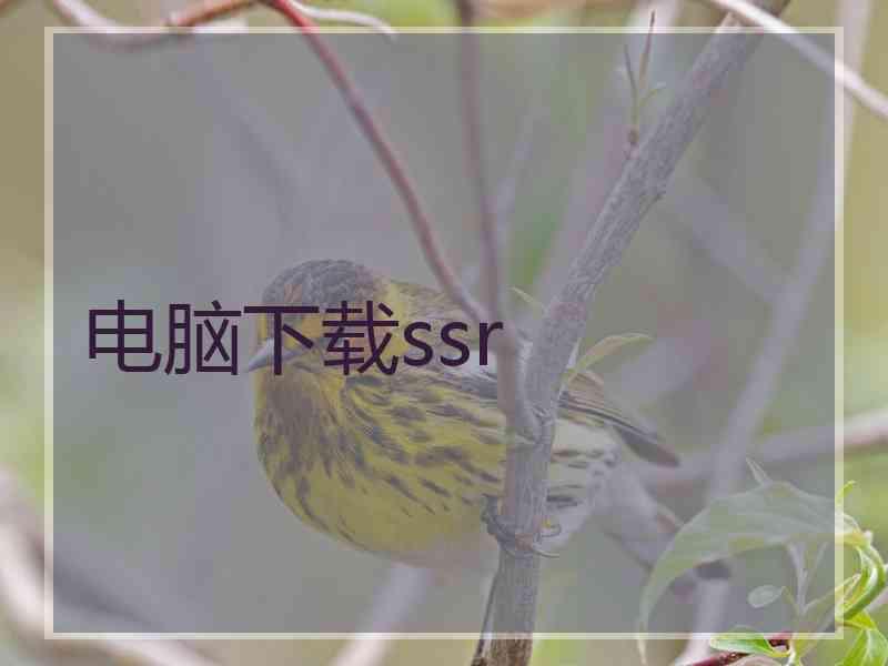 电脑下载ssr