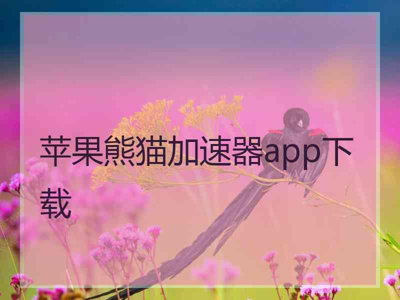 苹果熊猫加速器app下载