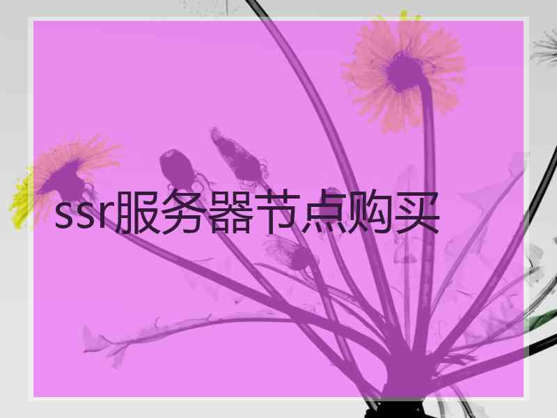 ssr服务器节点购买