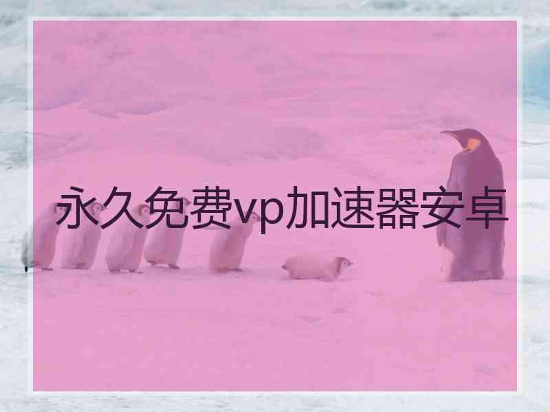 永久免费vp加速器安卓