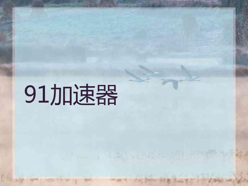 91加速器