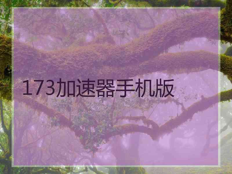 173加速器手机版
