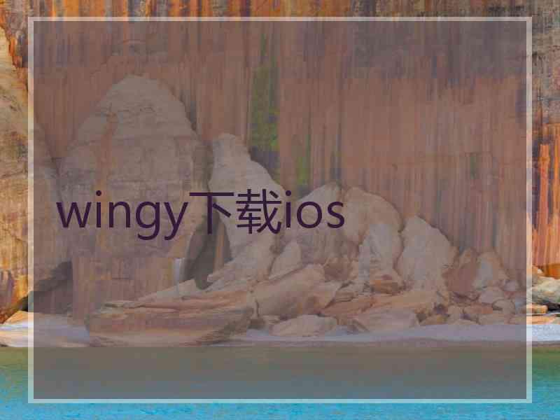 wingy下载ios