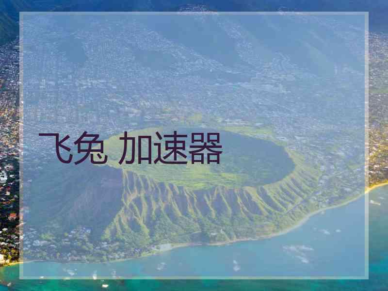 飞兔 加速器