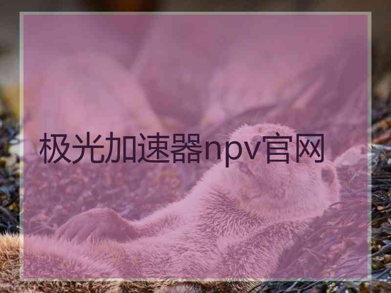 极光加速器npv官网