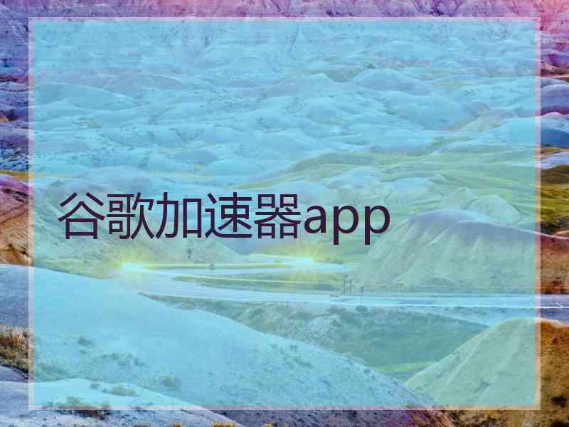 谷歌加速器app