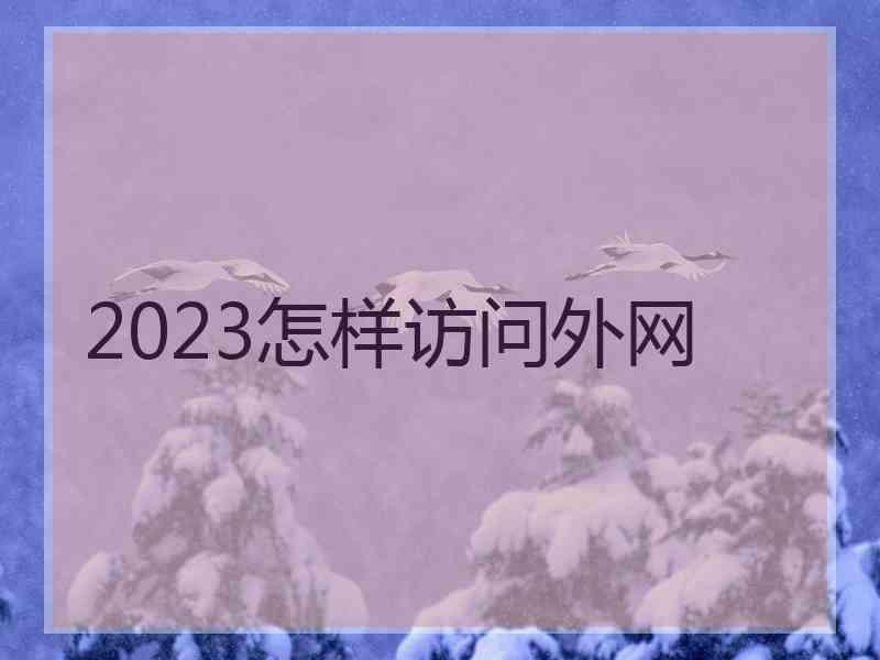 2023怎样访问外网