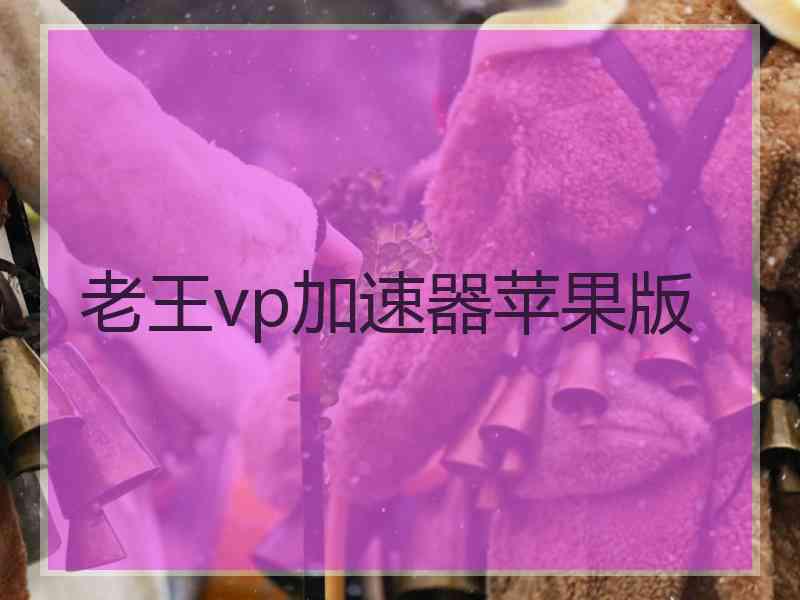 老王vp加速器苹果版