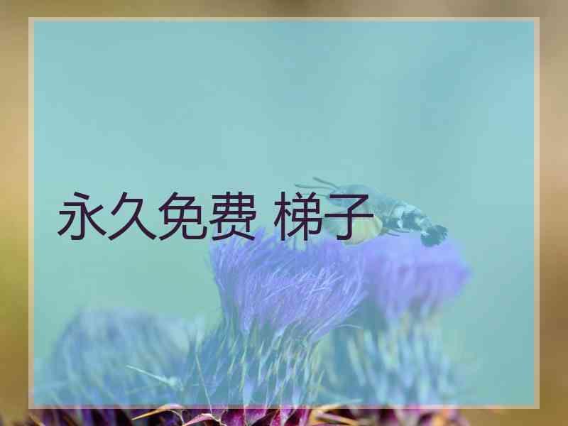 永久免费 梯子