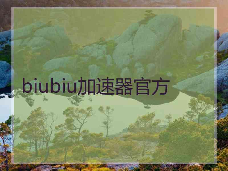 biubiu加速器官方