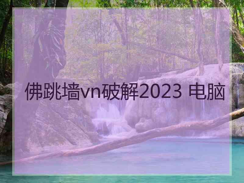 佛跳墙vn破解2023 电脑