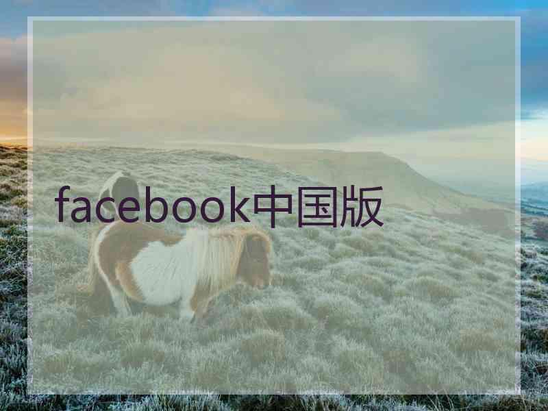 facebook中国版