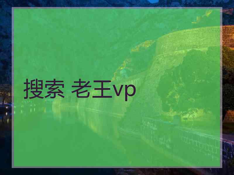 搜索 老王vp