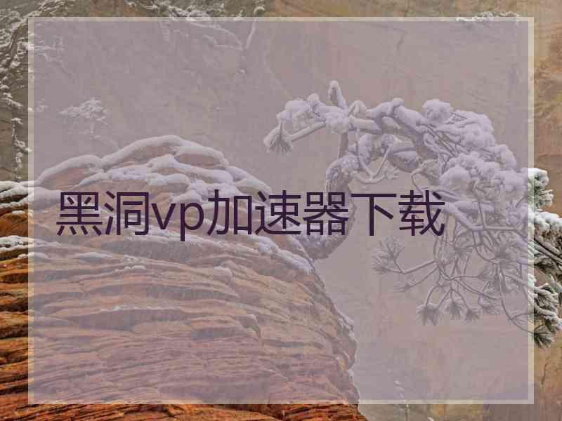 黑洞vp加速器下载