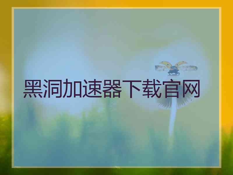 黑洞加速器下载官网