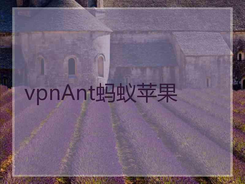 vpnAnt蚂蚁苹果