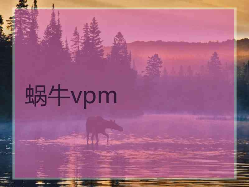 蜗牛vpm