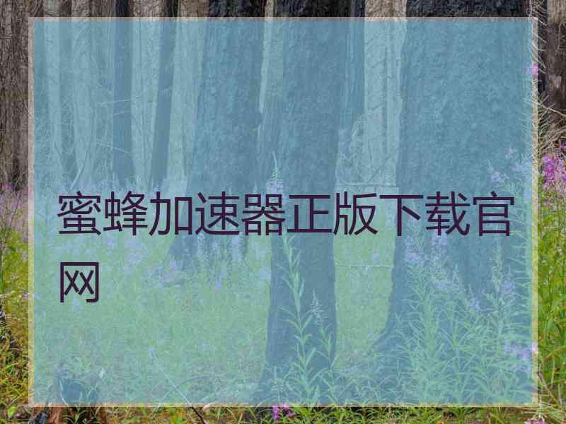 蜜蜂加速器正版下载官网