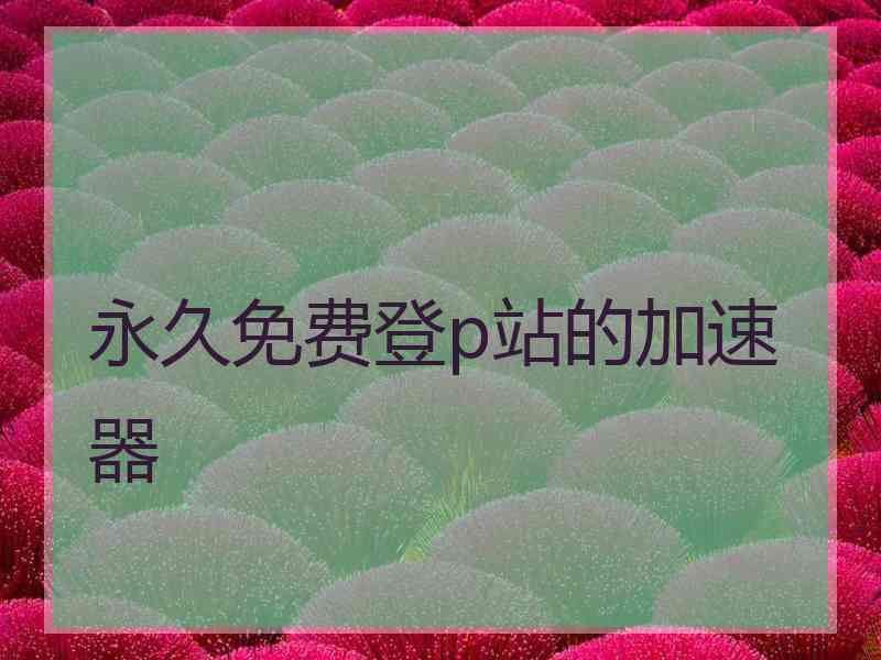 永久免费登p站的加速器