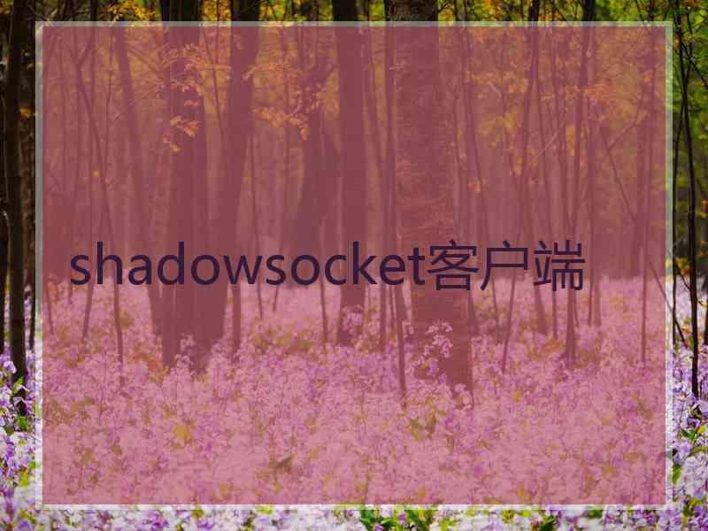 shadowsocket客户端