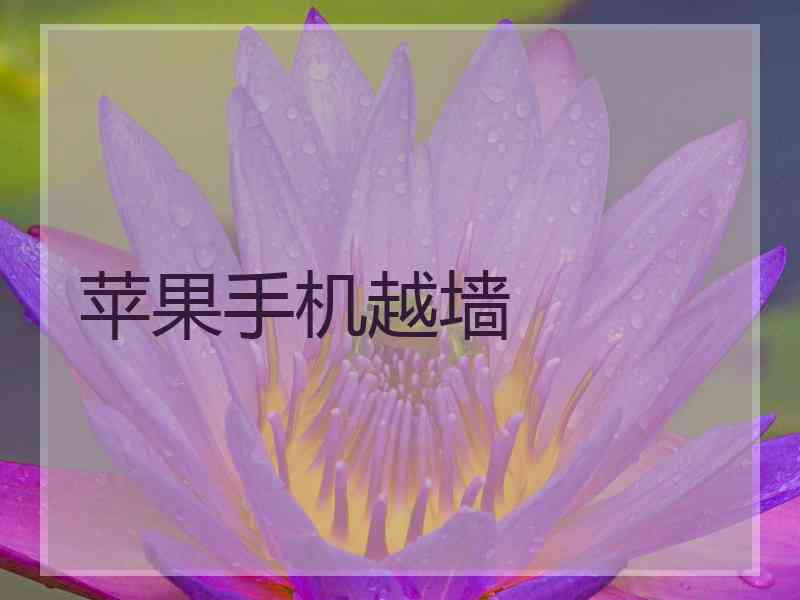 苹果手机越墙