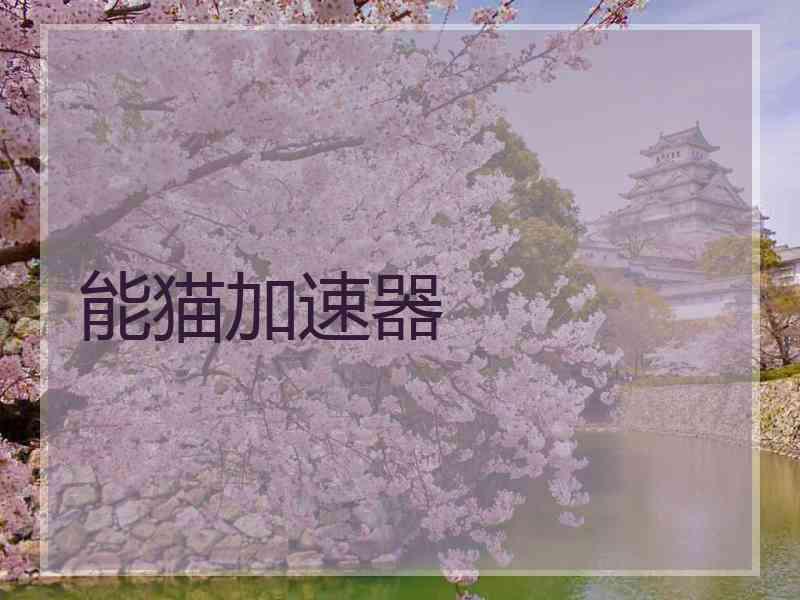 能猫加速器