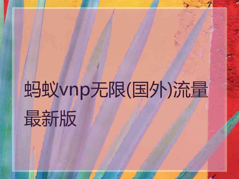 蚂蚁vnp无限(国外)流量最新版