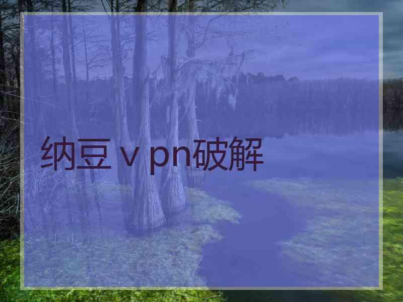 纳豆ⅴpn破解