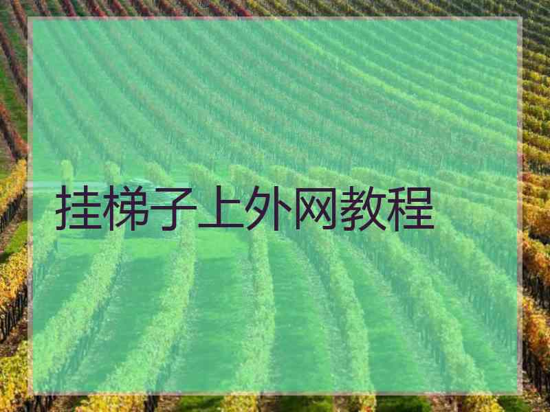 挂梯子上外网教程