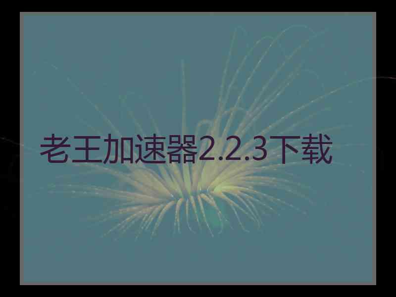 老王加速器2.2.3下载