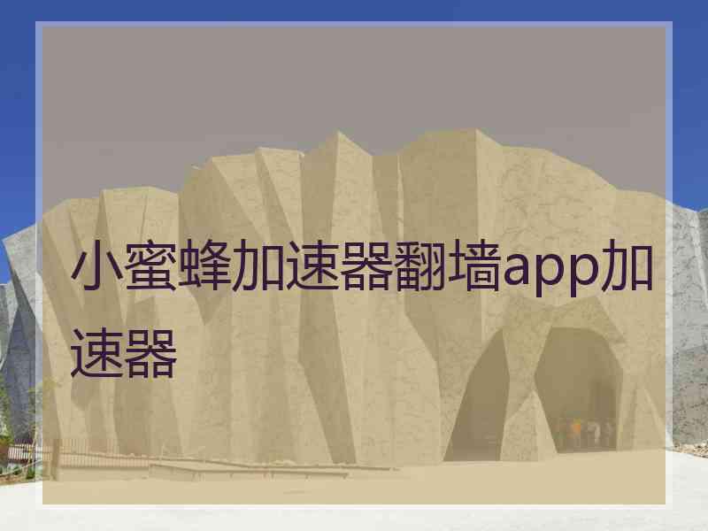 小蜜蜂加速器翻墙app加速器