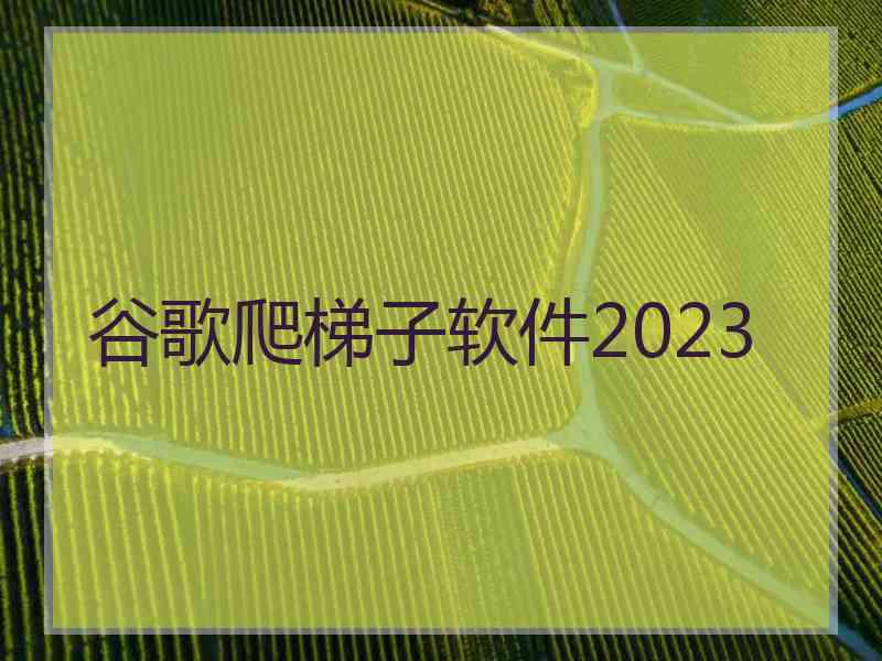 谷歌爬梯子软件2023