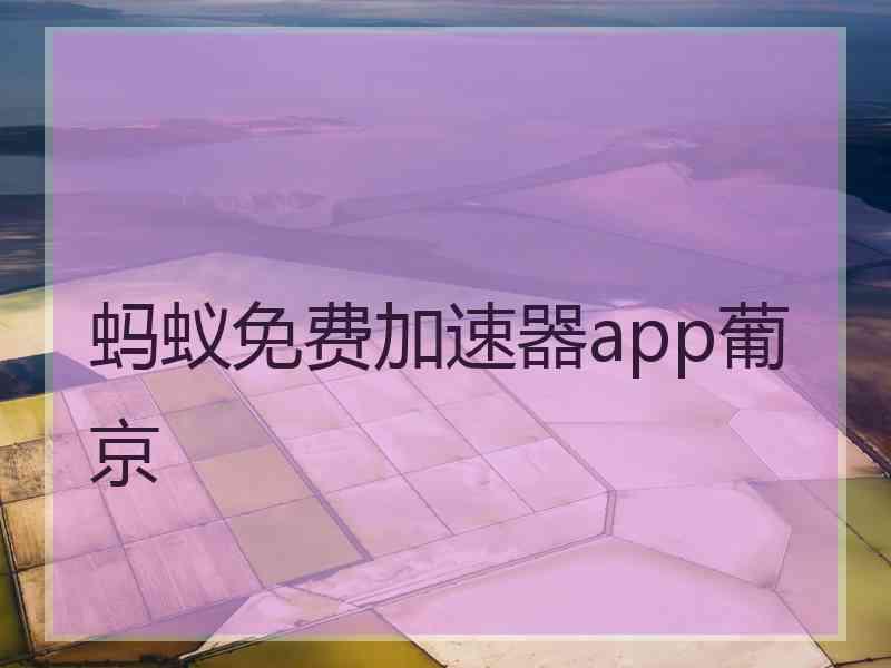 蚂蚁免费加速器app葡京