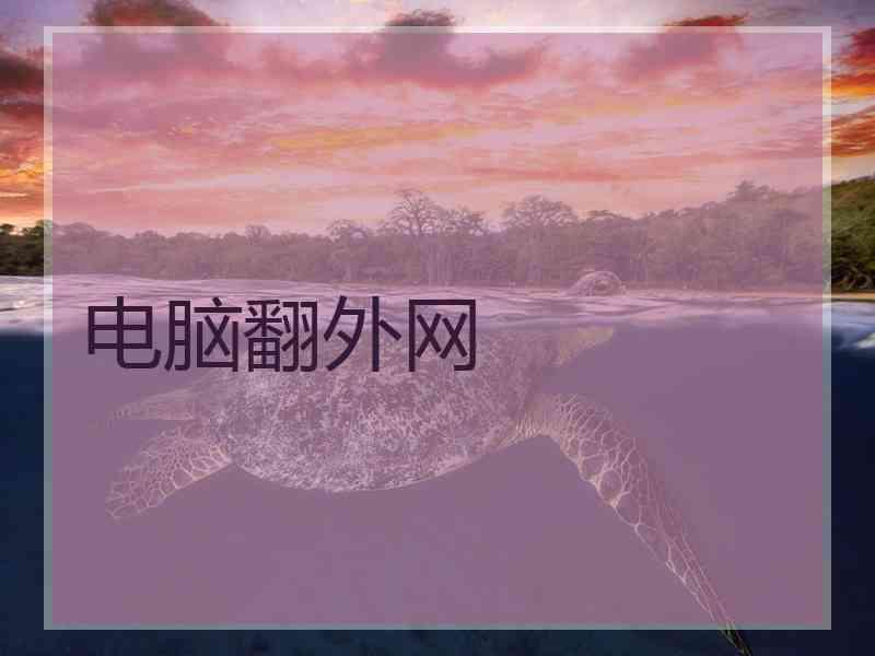 电脑翻外网