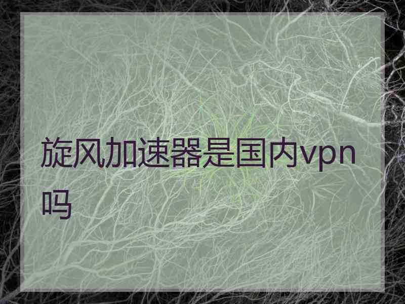 旋风加速器是国内vpn吗