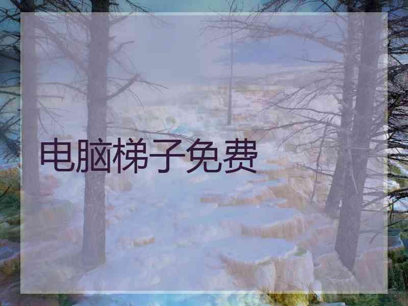 电脑梯子免费