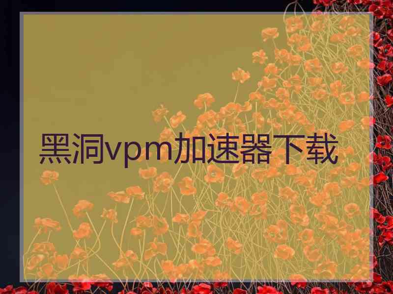 黑洞vpm加速器下载