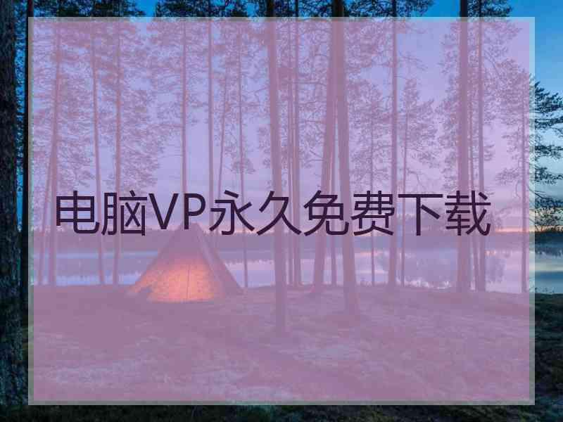 电脑VP永久免费下载