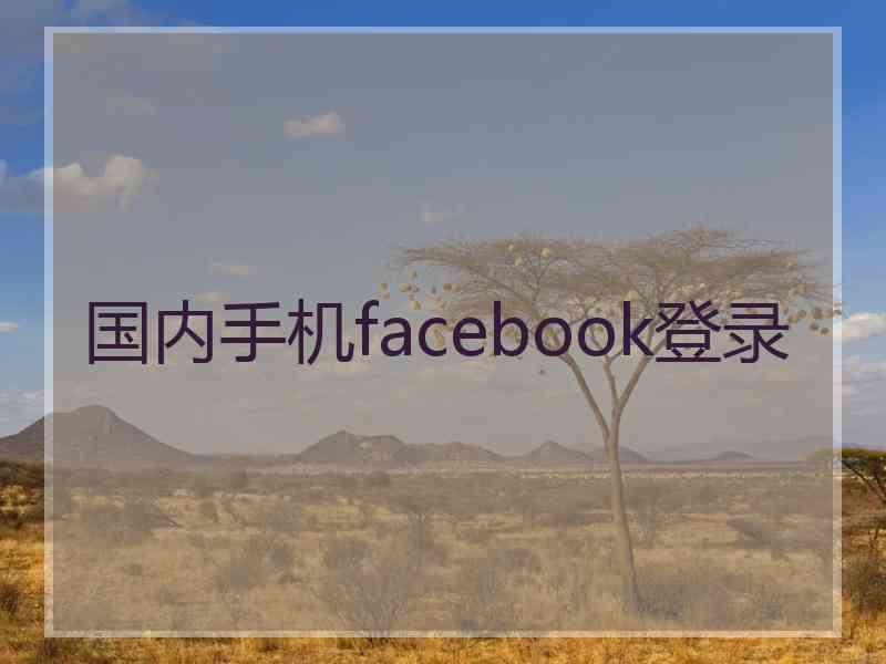 国内手机facebook登录