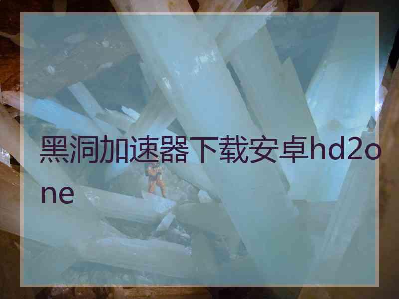 黑洞加速器下载安卓hd2one