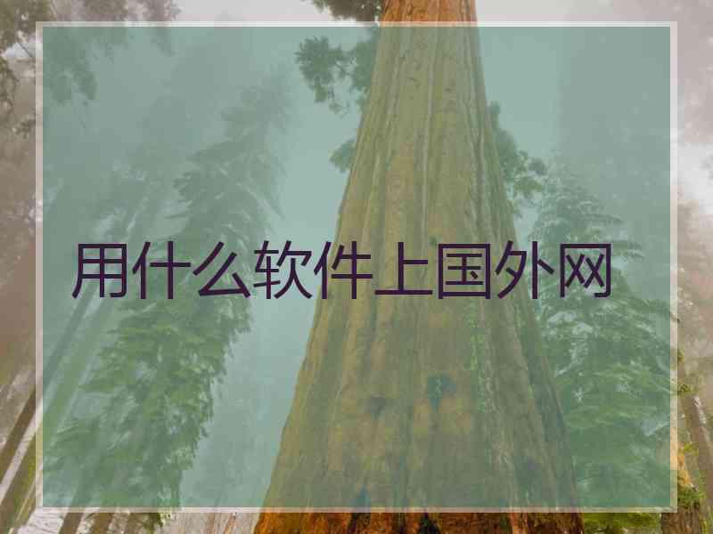 用什么软件上国外网