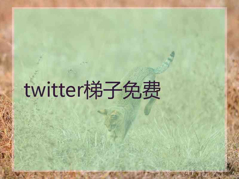 twitter梯子免费