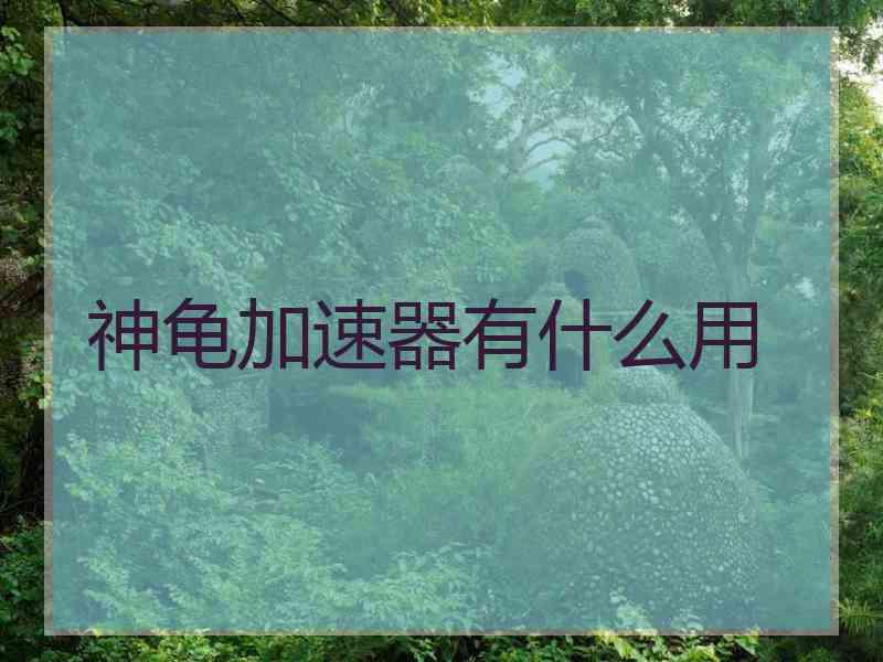 神龟加速器有什么用