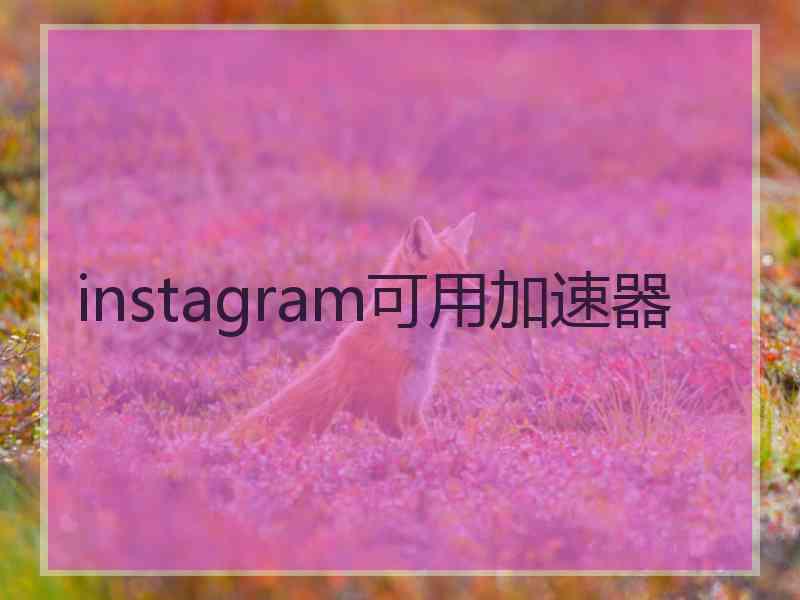 instagram可用加速器