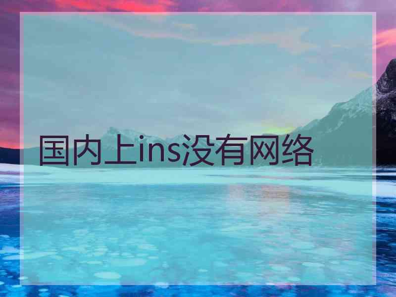 国内上ins没有网络