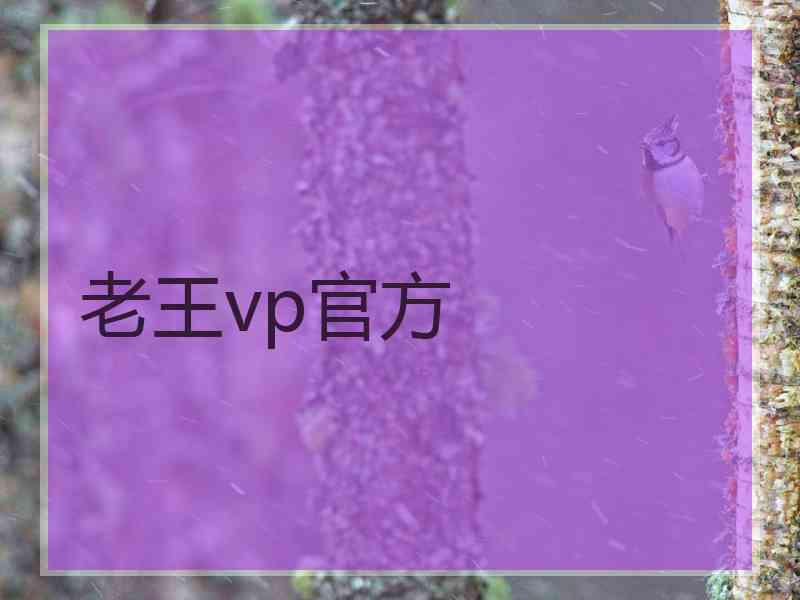 老王vp官方