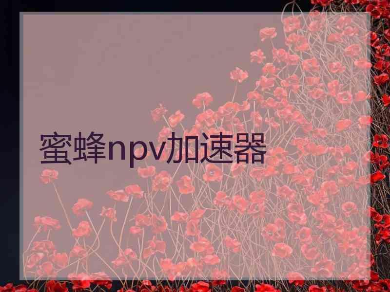 蜜蜂npv加速器