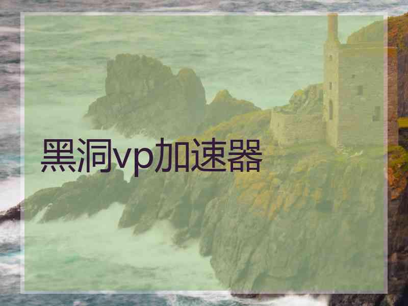 黑洞vp加速器